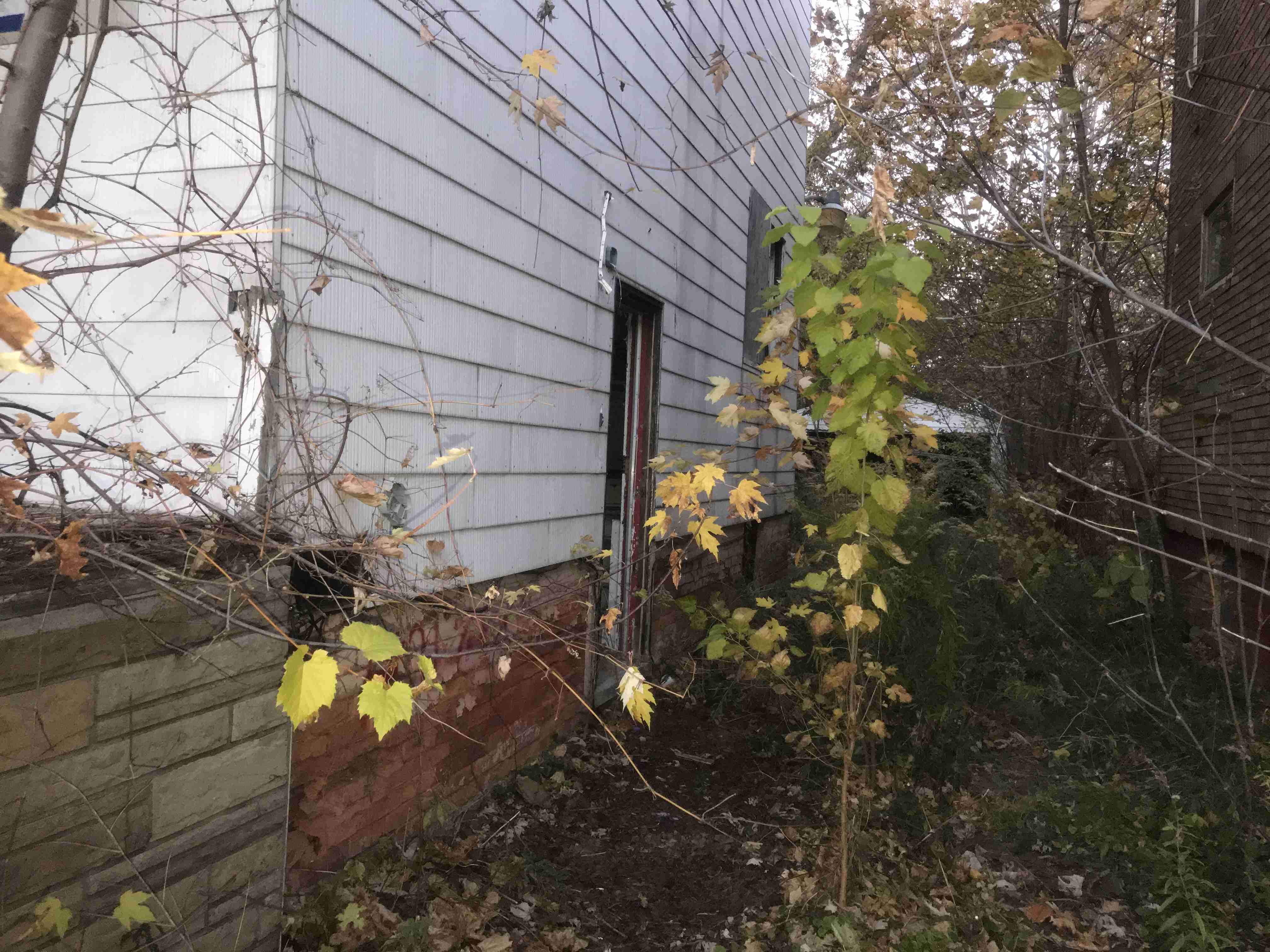 Photo Nov 04, 5 29 30 PM.jpg